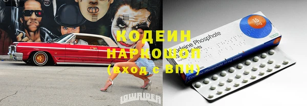 индика Пестово