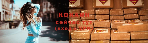 индика Пестово