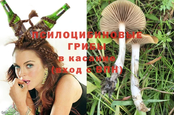 PSILOCYBIN Алзамай