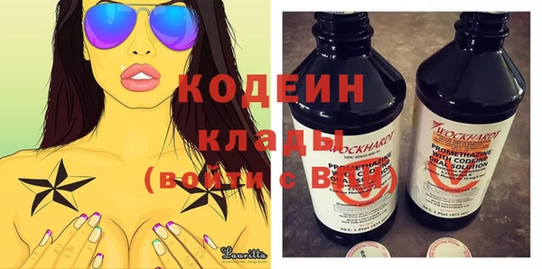 PSILOCYBIN Алзамай